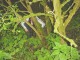Thumbs/tn_DSC01649.jpg