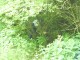 Thumbs/tn_DSC01651.jpg
