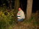 Thumbs/tn_DSC03843.jpg