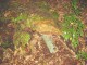 Thumbs/tn_DSC01836.jpg