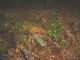 Thumbs/tn_DSC01837.jpg
