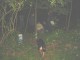 Thumbs/tn_DSC01842.jpg