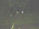 Thumbs/tn_DSC01843.jpg