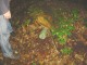 Thumbs/tn_DSC01848.jpg