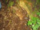 Thumbs/tn_DSC01849.jpg