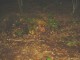 Thumbs/tn_DSC01850.jpg