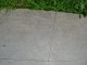Thumbs/tn_DSC06338.jpg