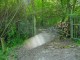 Thumbs/tn_DSC06347.jpg