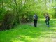 Thumbs/tn_DSC06348.jpg
