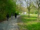Thumbs/tn_DSC06353.jpg