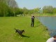 Thumbs/tn_DSC06370.jpg