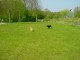 Thumbs/tn_DSC06377.jpg