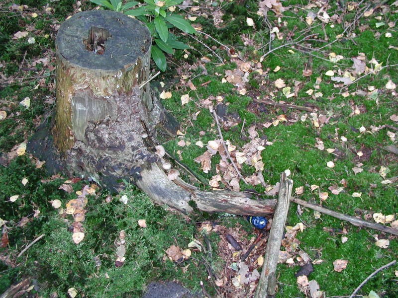 ../Images/pa073577.jpg
