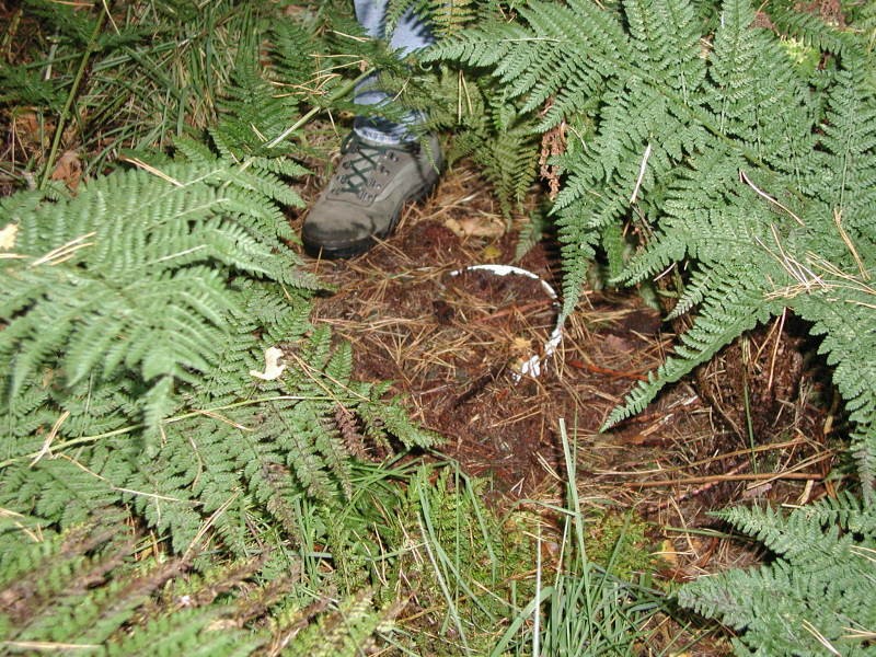 ../Images/pa073621.jpg