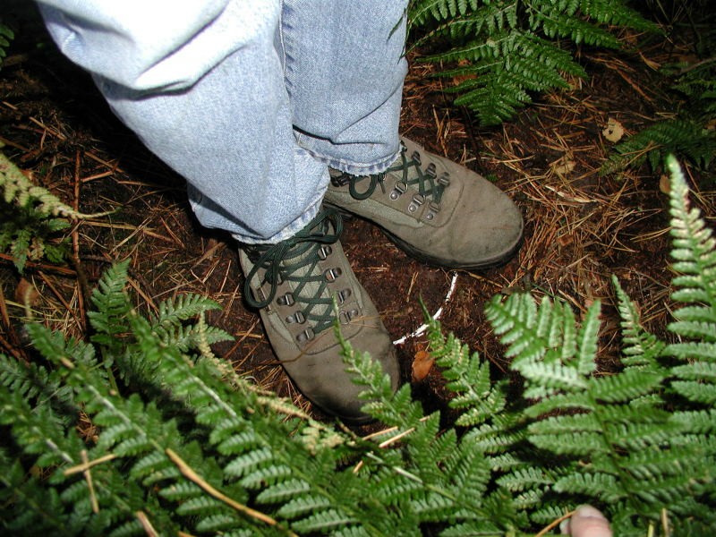../Images/pa073631.jpg