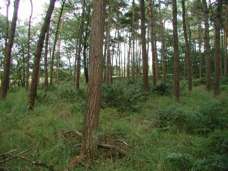 ../Images/pa073633.jpg