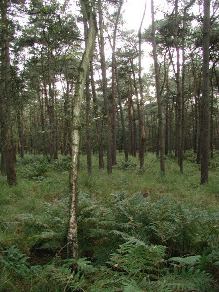../Images/pa073635.jpg