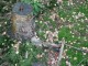 Thumbs/tn_pa073577.jpg