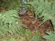 Thumbs/tn_pa073621.jpg