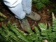 Thumbs/tn_pa073631.jpg