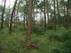 Thumbs/tn_pa073633.jpg