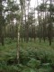 Thumbs/tn_pa073635.jpg