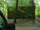 Thumbs/tn_DSC02791.jpg