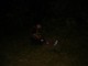 Thumbs/tn_DSC02946.jpg