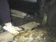 Thumbs/tn_Untitled-12.jpg