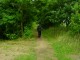Thumbs/tn_DSC07738.jpg