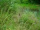 Thumbs/tn_DSC07748.jpg