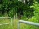 Thumbs/tn_DSC07749.jpg