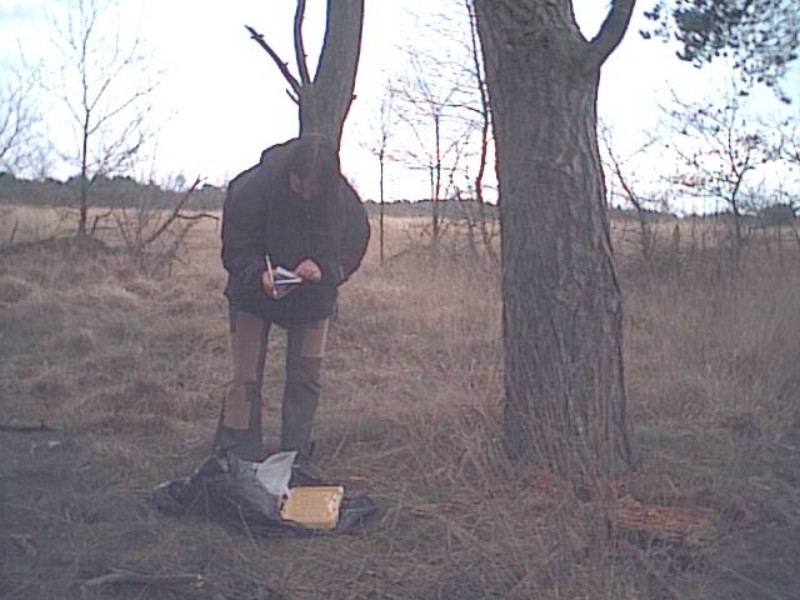 ../Images/regteheide.jpg