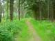 Thumbs/tn_DSC01316.jpg