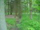 Thumbs/tn_DSC01317.jpg