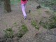 Thumbs/tn_DSC01318.jpg