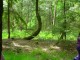 Thumbs/tn_DSC01322.jpg