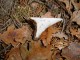 Thumbs/tn_DSC04677.jpg