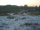 Thumbs/tn_DSC04683.jpg