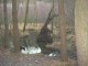 Thumbs/tn_DSC04684.jpg