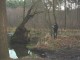 Thumbs/tn_DSC04685.jpg