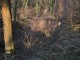 Thumbs/tn_Dsc0536a.jpg
