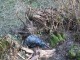 Thumbs/tn_Dsc0536e.jpg