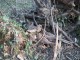Thumbs/tn_Dsc0536g.jpg