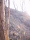 Thumbs/tn_Dsc0536i.jpg