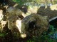 Thumbs/tn_DSC03944.jpg