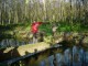 Thumbs/tn_DSC03946.jpg