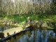 Thumbs/tn_DSC03947.jpg
