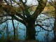 Thumbs/tn_DSC03958.jpg
