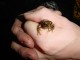 Thumbs/tn_DSC03969.jpg